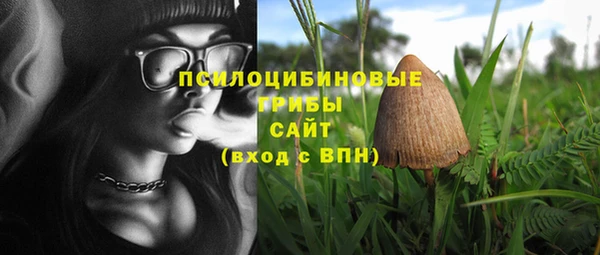 шишки Новокубанск