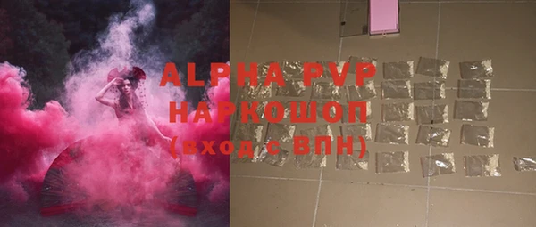 твердый Новозыбков