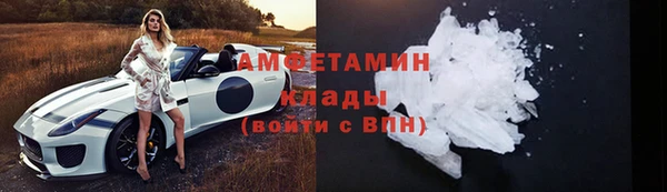 твердый Новозыбков