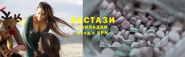 твердый Новозыбков
