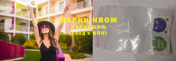 шишки Новокубанск