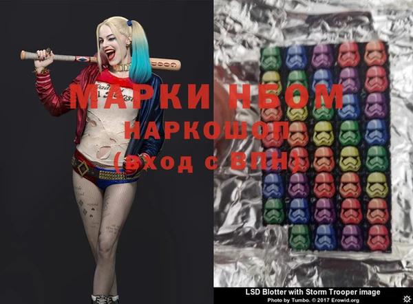 твердый Новозыбков