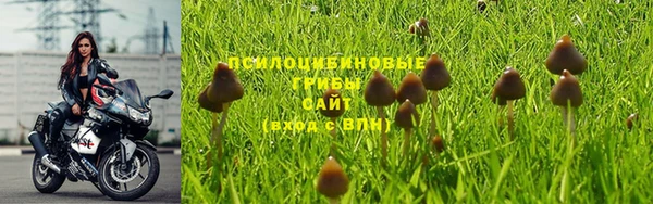 кокаин премиум Новодвинск