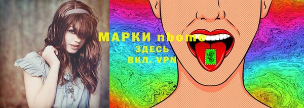 твердый Новозыбков