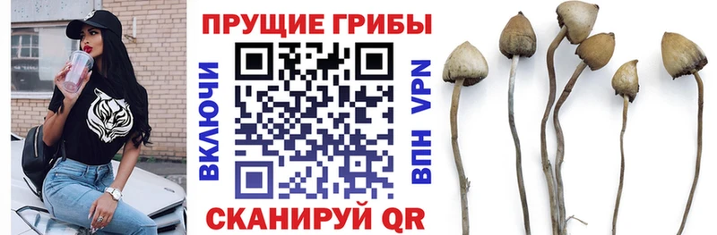 hydra как войти  Звенигово  Галлюциногенные грибы ЛСД 